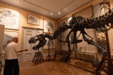 Art Zoo Muzej Amsterdam