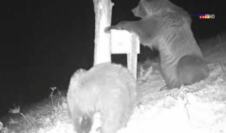 Screenshot 2026-04-29 113726.jpg