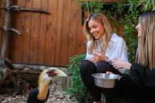 Anđela Ignjatović Breskvica ZOO Vrt (5).jpg