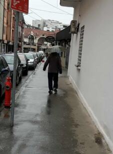 LOZNICA - Setio se.jpg