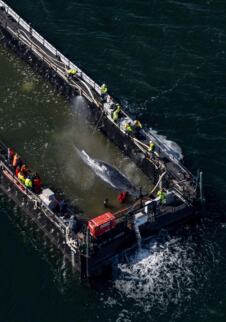 x01 AP Stefan Sauer.jpg