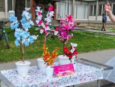 Festival cveća u TS 8.jpg