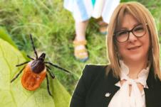 dr Marija Radulović/krpelj