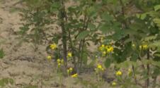Screenshot 2026-05-03 145020.png
