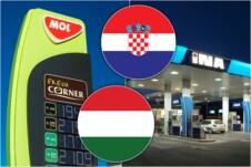 mol ina.jpg