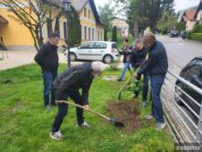 Drvo niklo na Avali iz džepa sahranjenog ruskog vojnika Neverovatna priča o kavk - 11.05.2026(1).jpg