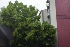 8d04ccb6-6caa-40fd-99ca-ab60f1ef21d8.jpeg