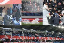 Delije, Crvena zvezda, Vojvodina, Finale kupa
