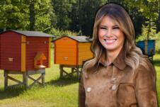melanija.jpg