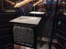 IMG_20260517_120845.jpg