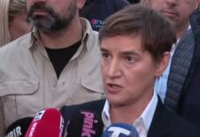 Ana Brnabić (3).png