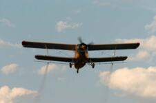 avion