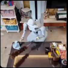 robot radi kućne poslove