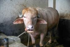 x01 EPA Monirul Alam.jpg