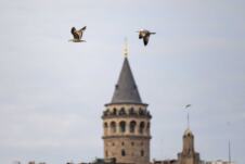 Galata kula