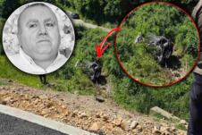 Prijepolje - Danilo Femić