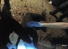 2026-06-03 07_50_11-Key moments of police bodycam footage in Henry Nowak murder _ BBC News - YouTube.png