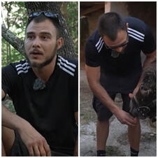 nikola dedovina.jpg