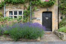 ulazna vrata, lavanda
