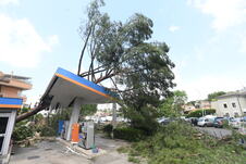 profimedia-1107512470.jpg