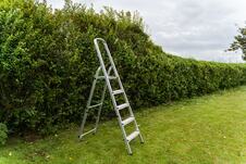 shutterstock_2766462231.jpg