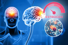 Estrogen.jpg