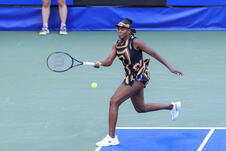 Serena Vilijams
