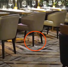 Restoran Gordon Ramsay Steak u kome su gosti snimili miševe kako trče između stolova