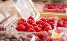 Maline