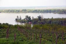 Grocka