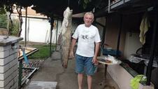 Cacak-dragan-upecao-soma-fotorina51.jpg