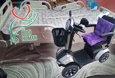 Budi human