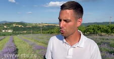 Lavanda u Milićevcima kod Čačka: Sestra i brat, Ana i Bojan prave liker i sirup od cveta