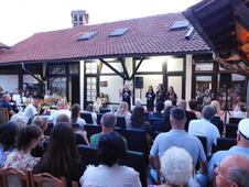 LOZNICA - Vidovdanski zavet.JPG