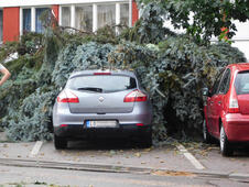 LOZNICA - Poklopljeni automobili.JPG