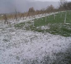 Čačak nevreme grad (1).jpeg