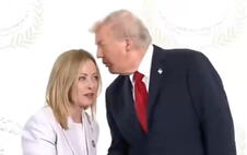 Donald Tramp.png