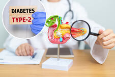 lekar s lupom pokazuje na model pankreasa/dijabetes tip 2