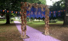 LOZNICA - Lila -Lo park.jpg