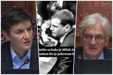 collage.jpg