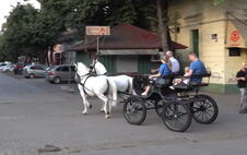 Screenshot 2026-07-12 105045.jpg