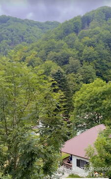 Kaća Grujić