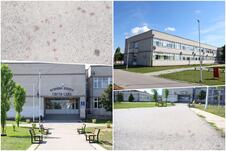 OŠ Sveti Sava Smederevo