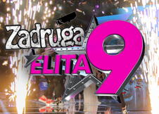 zadruga elita