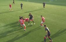 FK Crvena zvezda