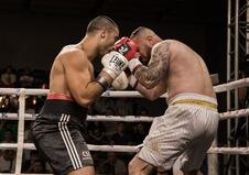 Balkan boxing 3.jpg