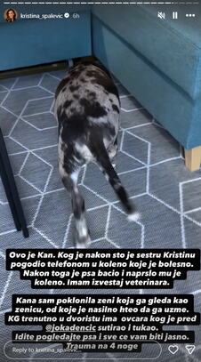 Kristina objavila snimak povređenog psa