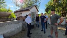 Poseta-porodici-Majkic-vinograd-farma-zadruga-junad-ovce-glamocic-77.jpg