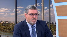 Nemanja Starović