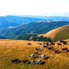 Stara planina